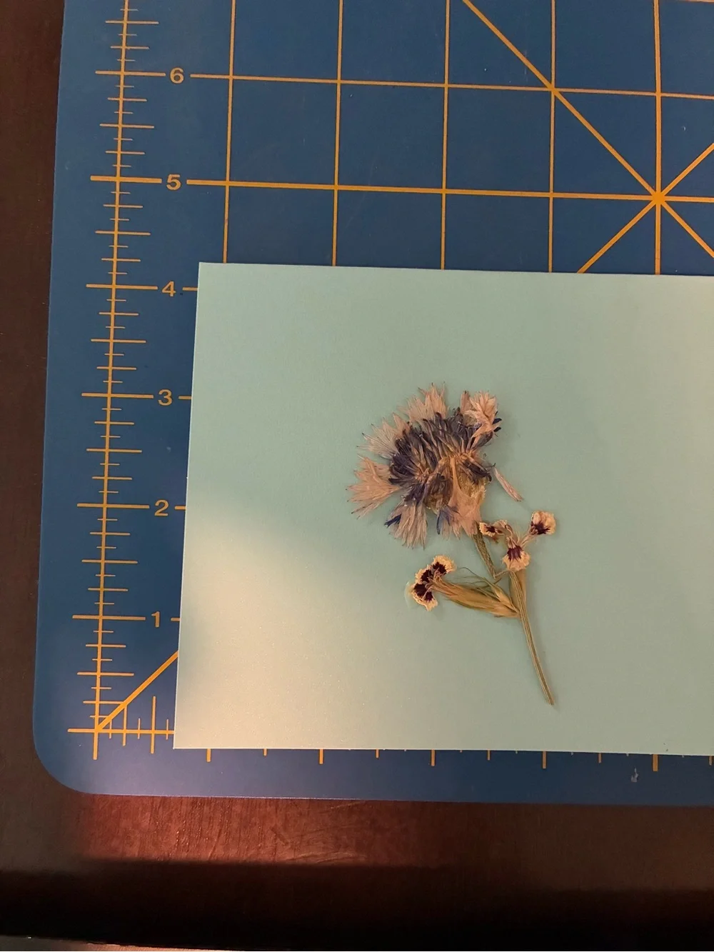 Handmade Pressed Flowers on Blank Note Card - Minimal Botanical Stationery